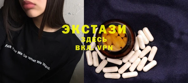 гидра Надым